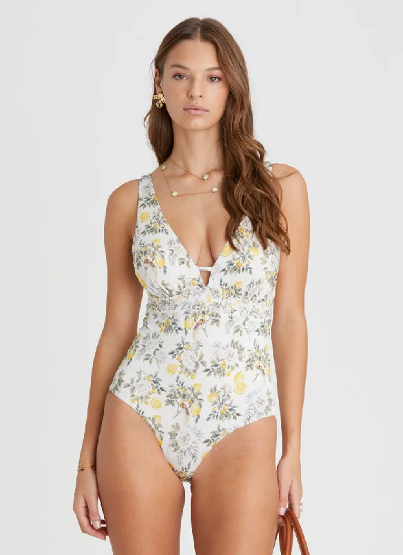 Casual swimwear for women -Clementine Alana DD/E Cup One Piece (SAMPLE)